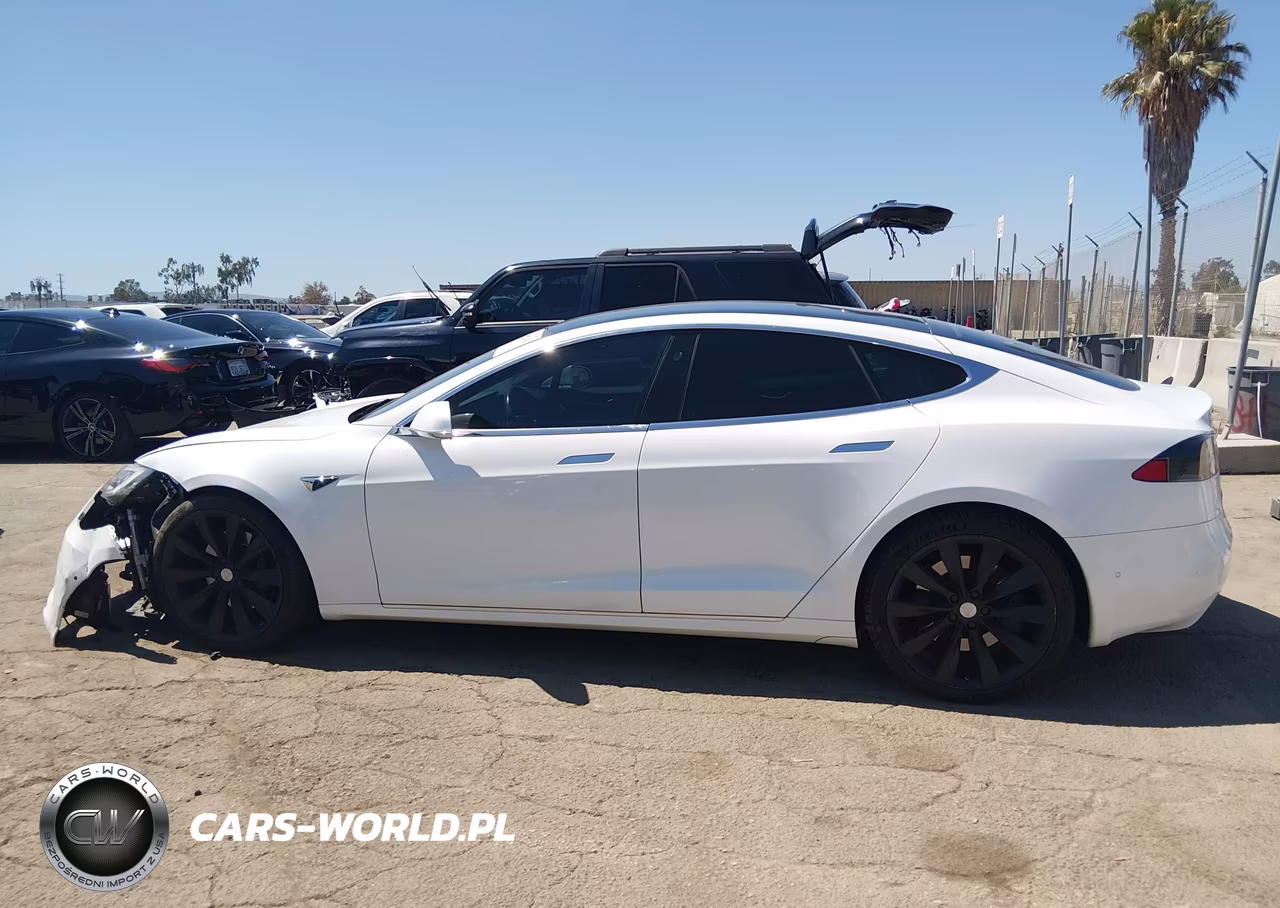 2018 Tesla Model S 100D-75D-P100D VIN:5YJSA1E2XJF273035 - 13