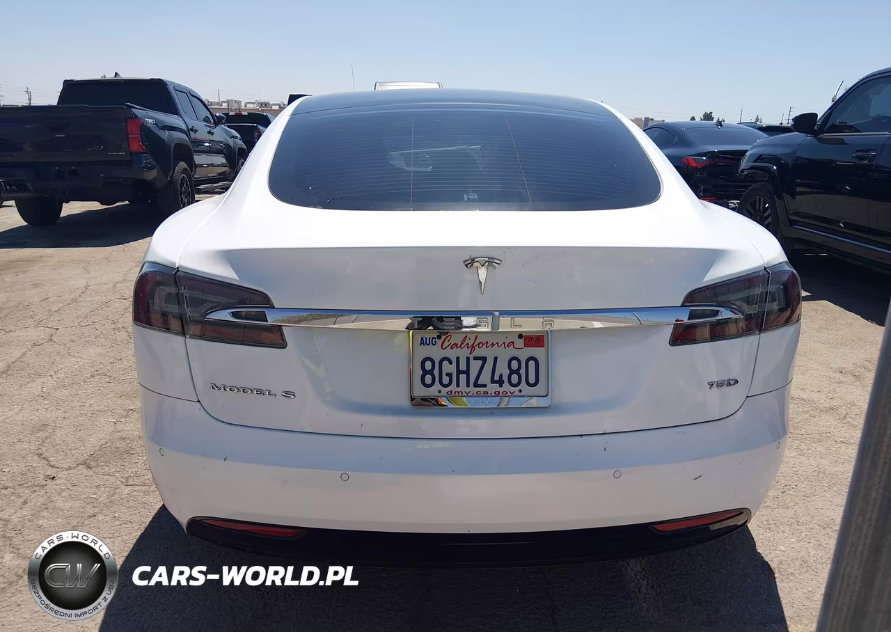 2018 Tesla Model S 100D-75D-P100D VIN:5YJSA1E2XJF273035 - 15