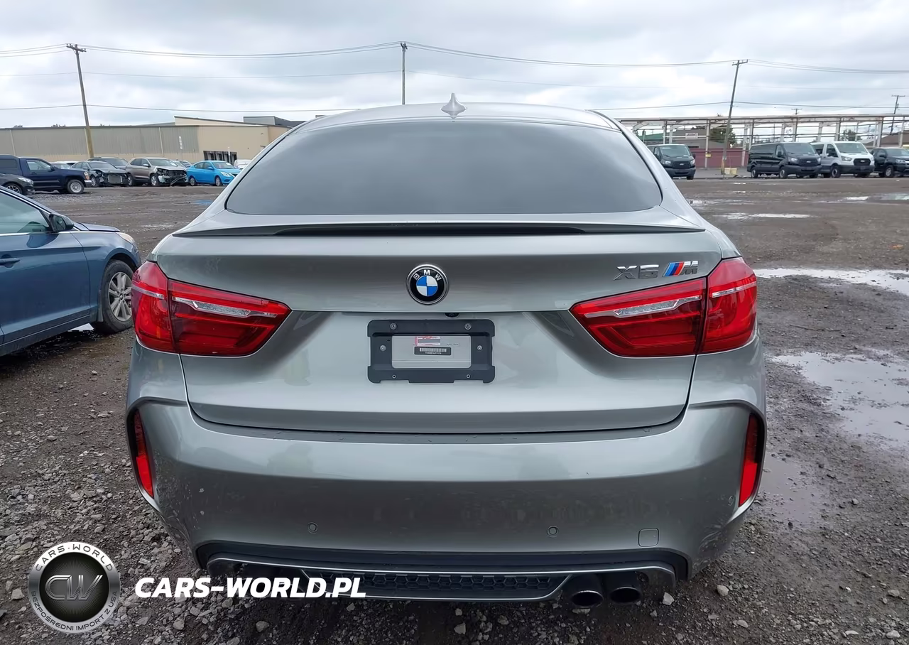 2018 BMW X6 M VIN:5YMKW8C54J0Y74759 - 17