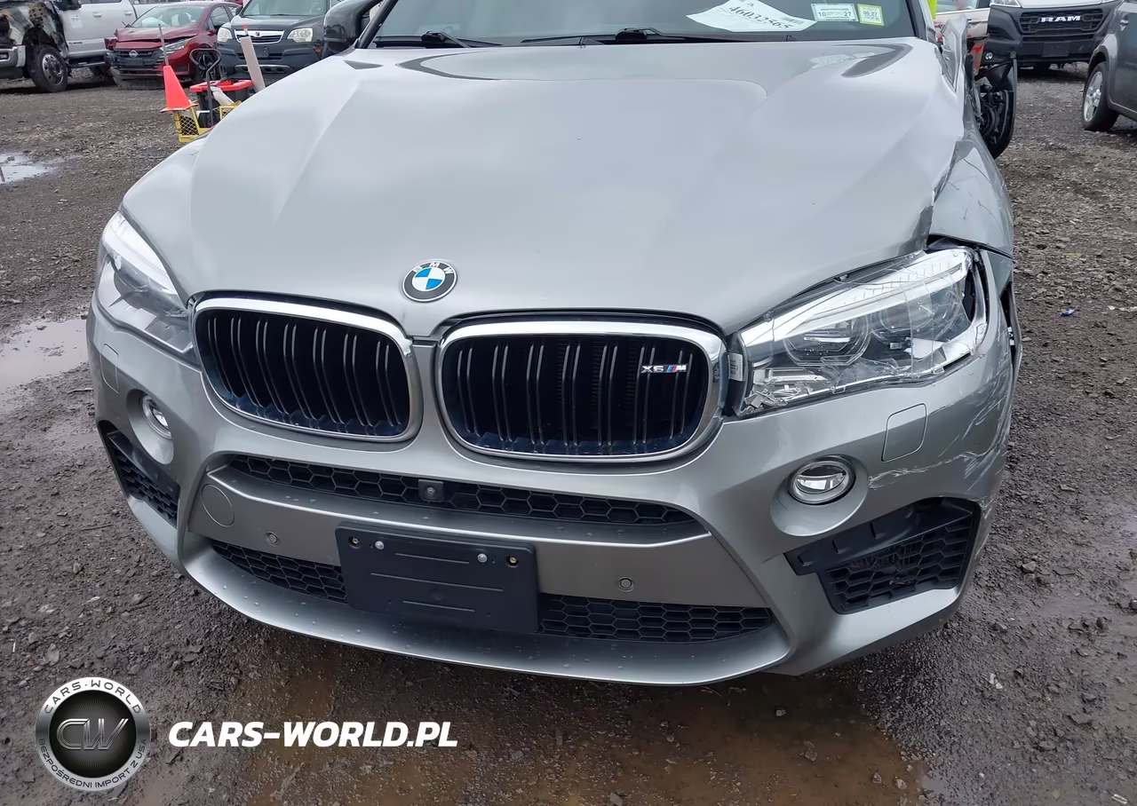 2018 BMW X6 M VIN:5YMKW8C54J0Y74759 - 18