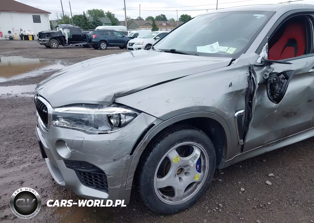 2018 BMW X6 M VIN:5YMKW8C54J0Y74759 - 6