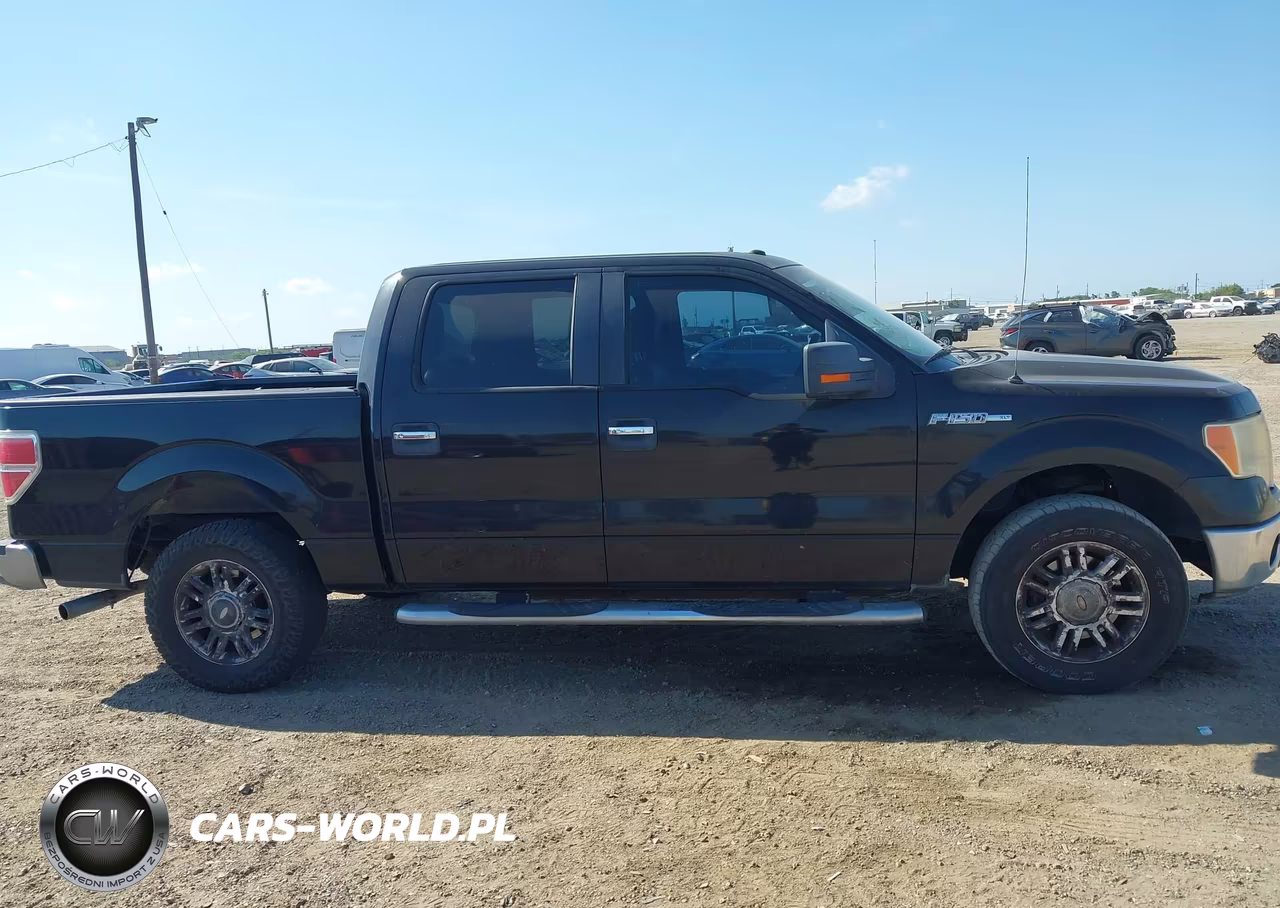 2010 Ford F-150 Fx2 Sport-Xl-Xlt VIN:1FTEW1C85AKA76153 - 13