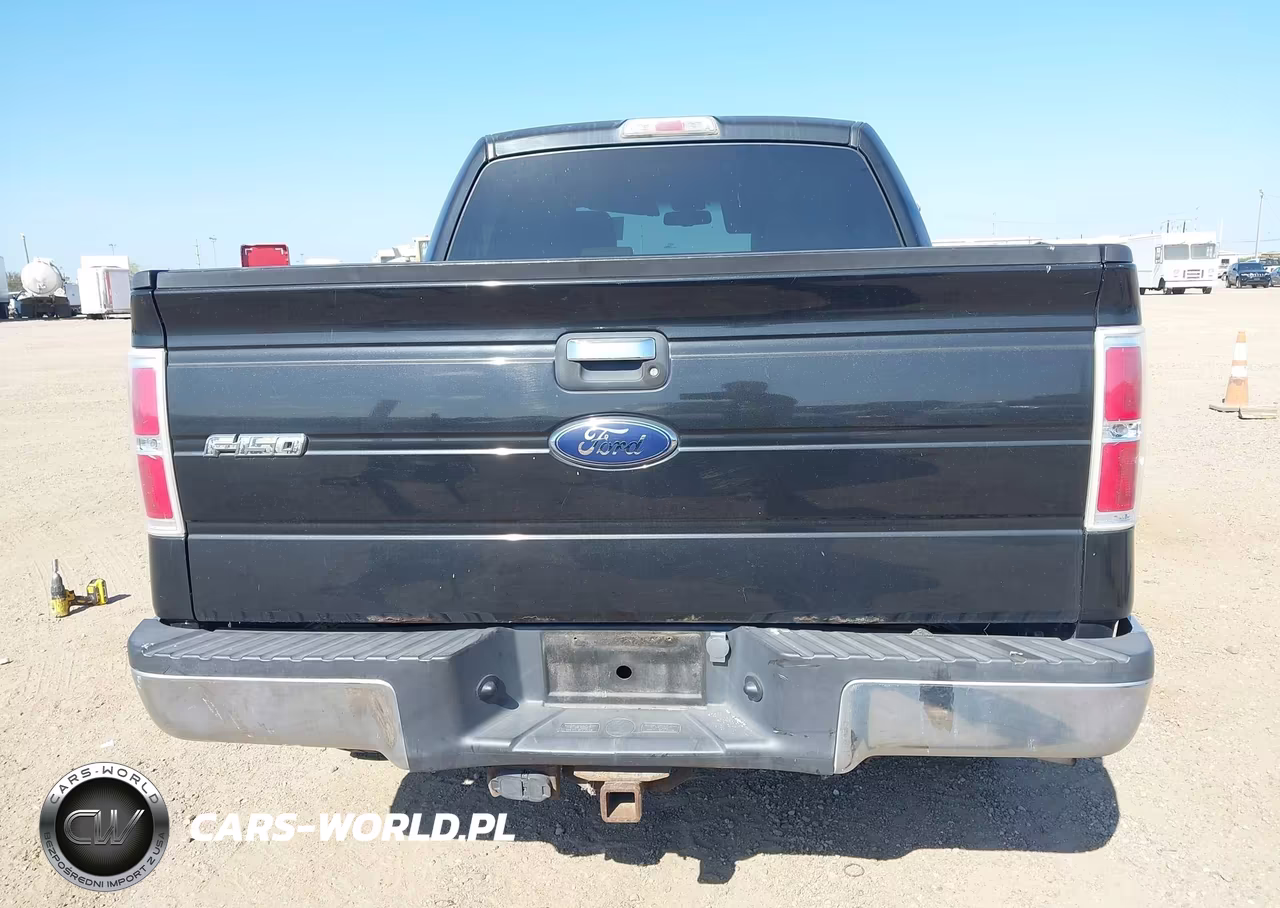 2010 Ford F-150 Fx2 Sport-Xl-Xlt VIN:1FTEW1C85AKA76153 - 16