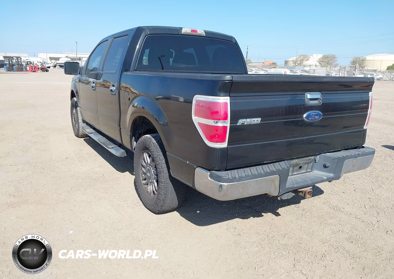 2010 Ford F-150 Fx2 Sport-Xl-Xlt VIN:1FTEW1C85AKA76153 - 3