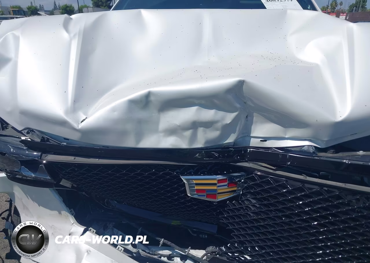 2023 Cadillac Escalade Esv 4Wd Sport Platinum VIN:1GYS4RKL1PR429026 - 10