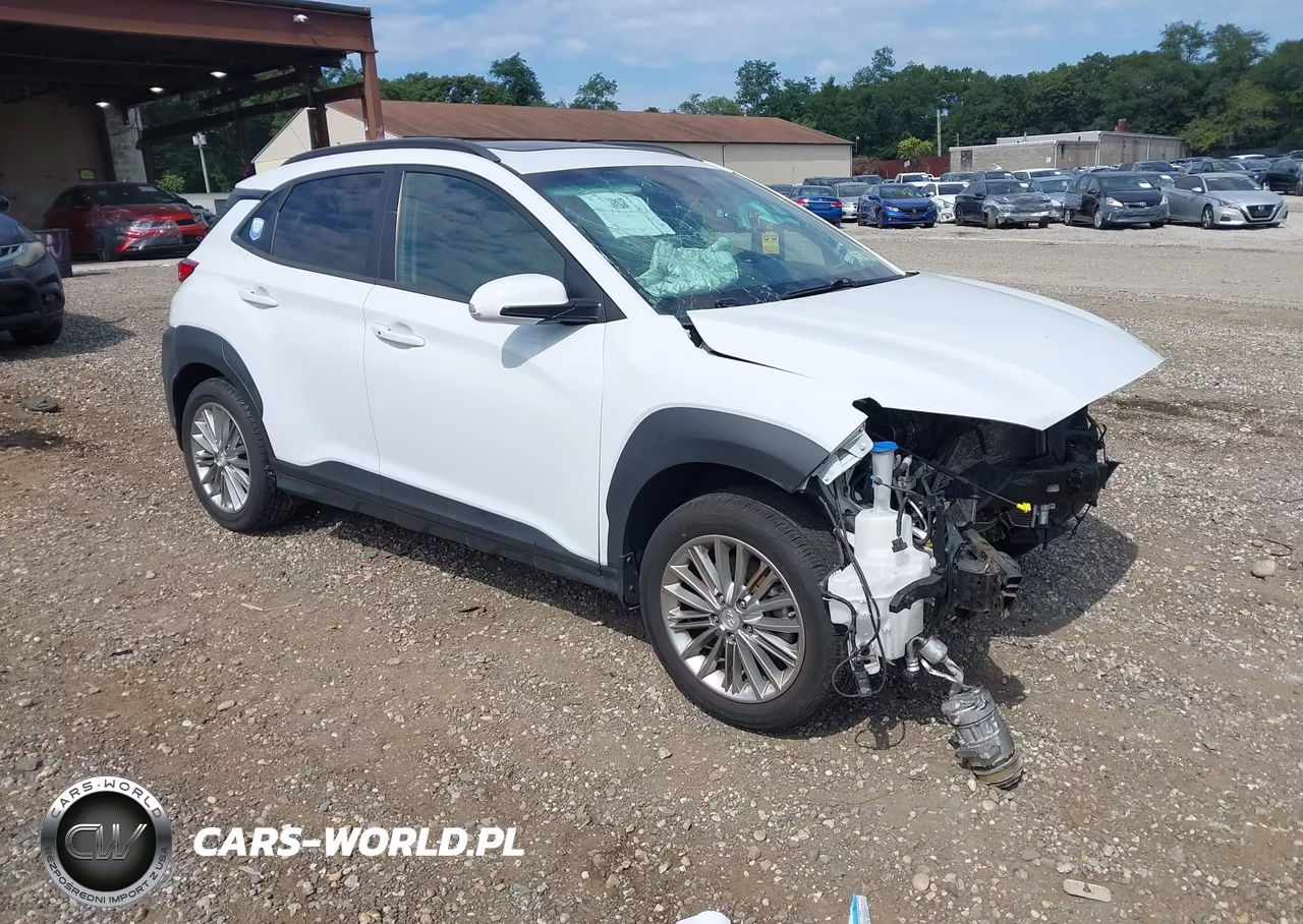 2019 Hyundai Kona Sel VIN:KM8K6CAA4KU240160 - 1