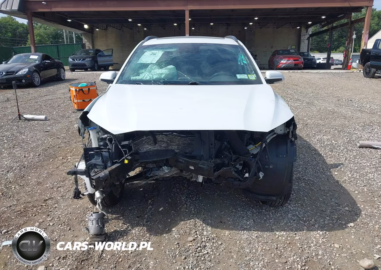 2019 Hyundai Kona Sel VIN:KM8K6CAA4KU240160 - 12