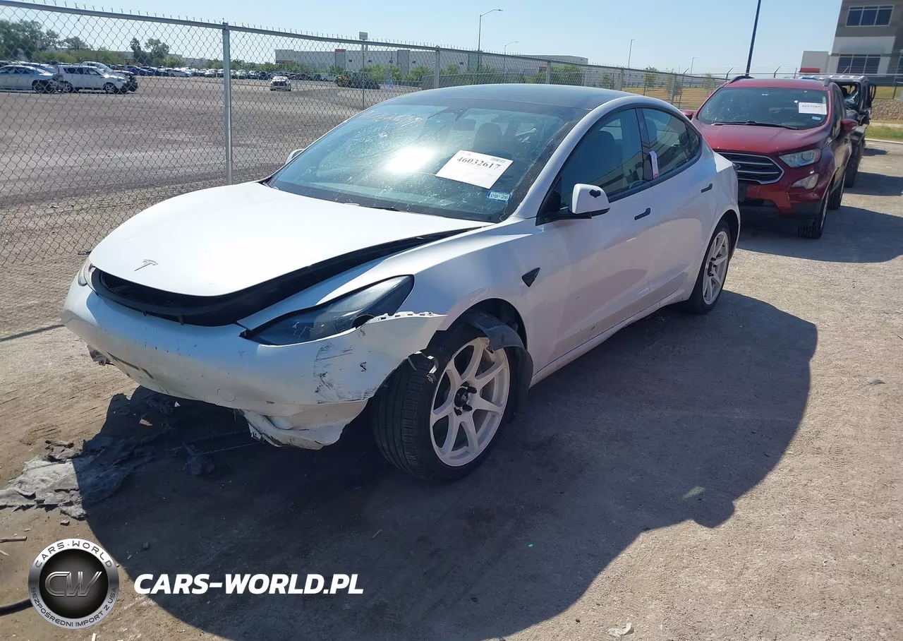 2023 Tesla Model 3 Rear-Wheel Drive VIN:5YJ3E1EA6PF433596 - 2