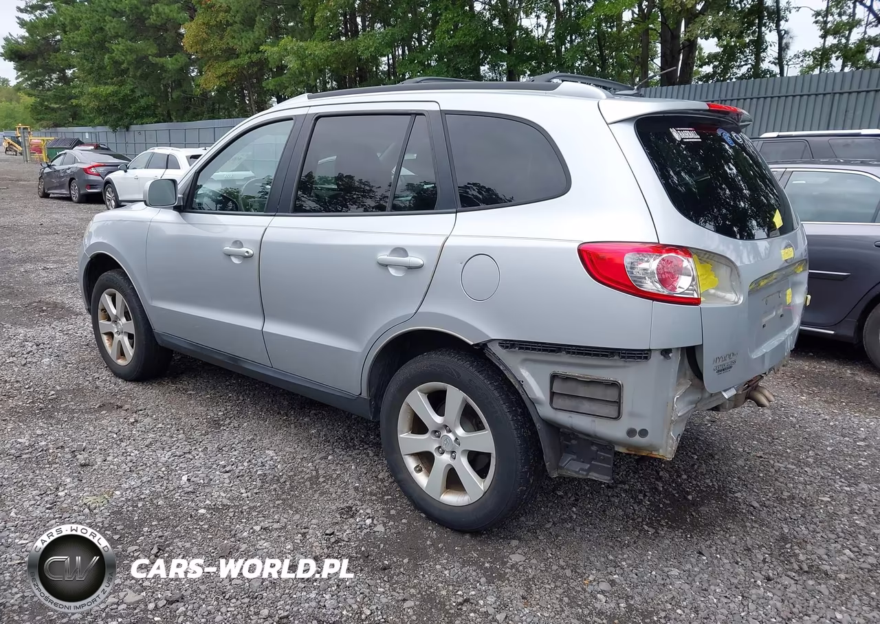 2010 Hyundai Santa Fe Se VIN:5NMSHDAG2AH347318 - 3