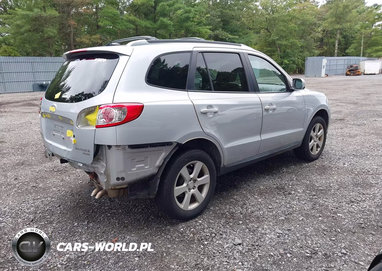 2010 Hyundai Santa Fe Se VIN:5NMSHDAG2AH347318 - 4