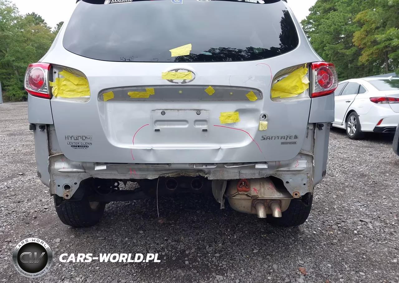 2010 Hyundai Santa Fe Se VIN:5NMSHDAG2AH347318 - 6