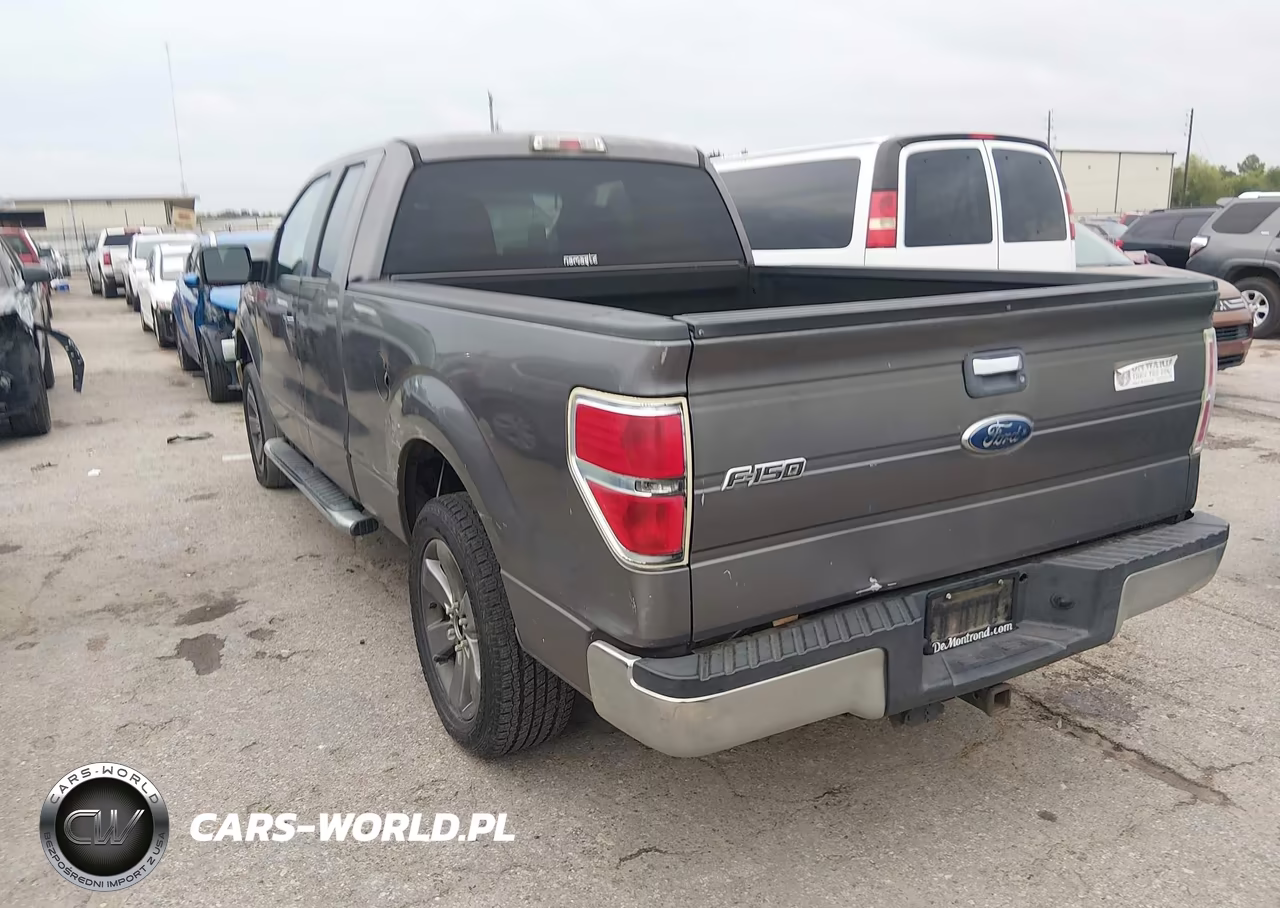 2010 Ford F-150 Xlt VIN:1FTEX1C83AKE74586 - 3