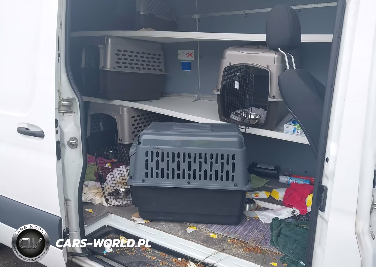 2023 Mercedes-Benz Sprinter 2500 High Roof 4-Cyl Diesel Ho VIN:W1Y4NDHYXPT119117 - 8