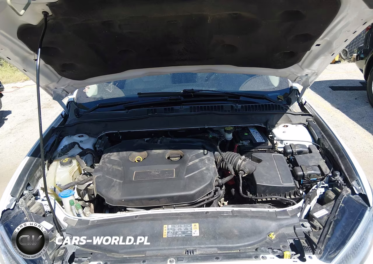 2017 Ford Fusion Titanium VIN:3FA6P0K90HR123896 - 10