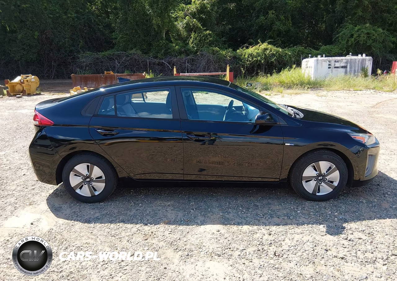 2020 Hyundai Ioniq Hybrid Blue VIN:KMHC65LC7LU217598 - 18
