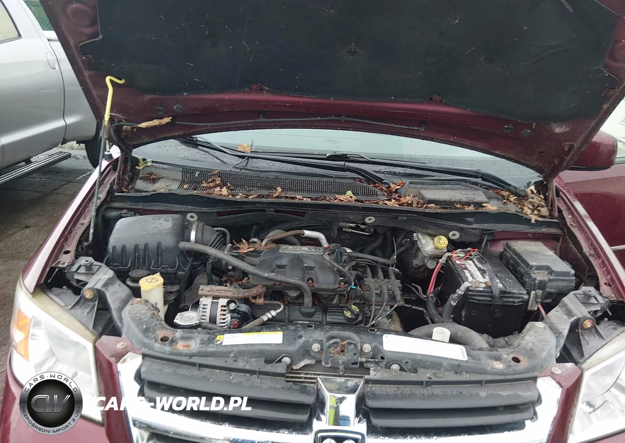 2009 Dodge Grand Caravan Sxt VIN:2D8HN54199R562391 - 10