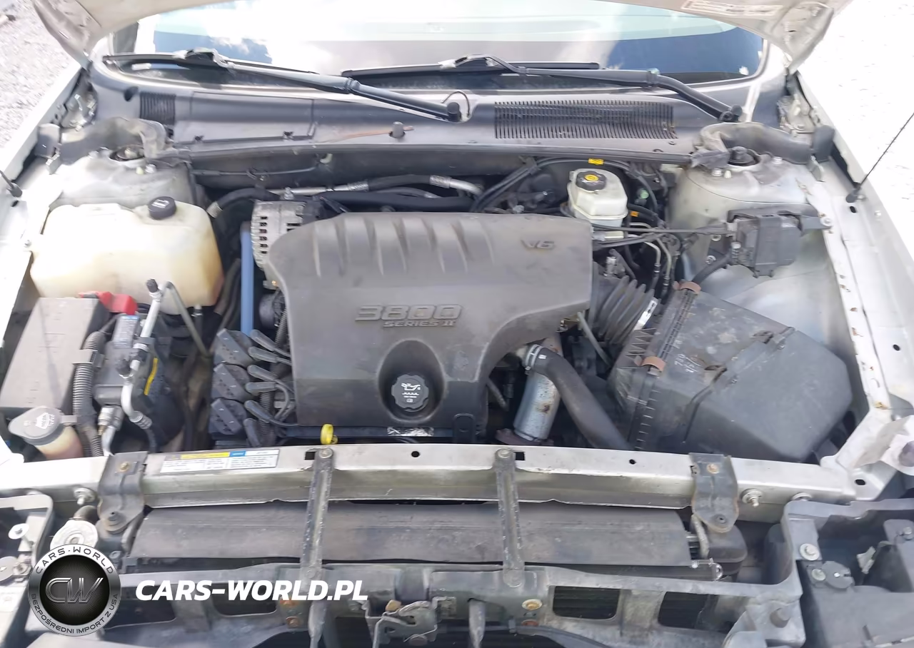2003 Buick Lesabre Custom VIN:1G4HP52KX3U133898 - 10