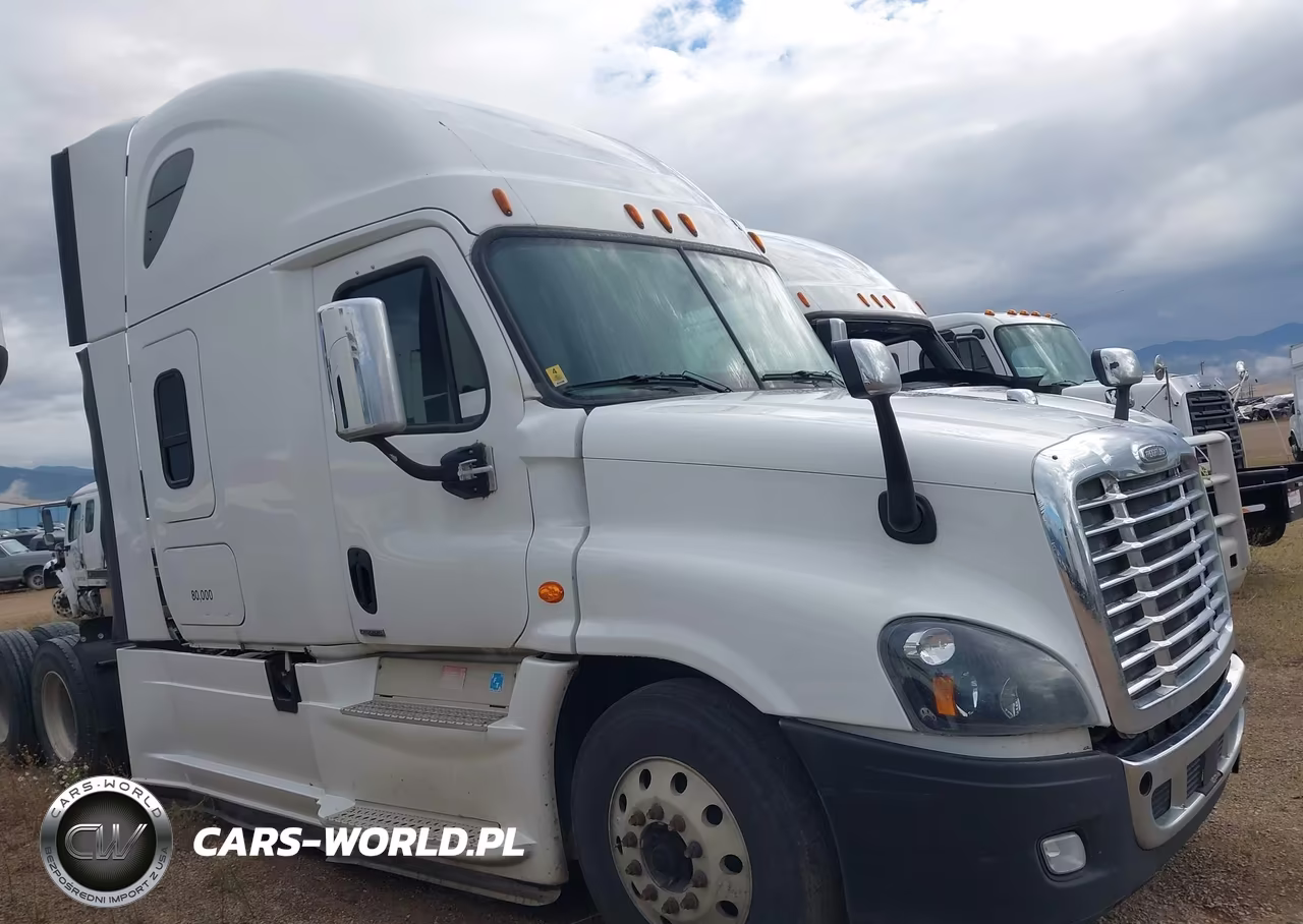 2016 Freightliner Cascadia 125 VIN:3AKJGLD54GSGX2420 - 14