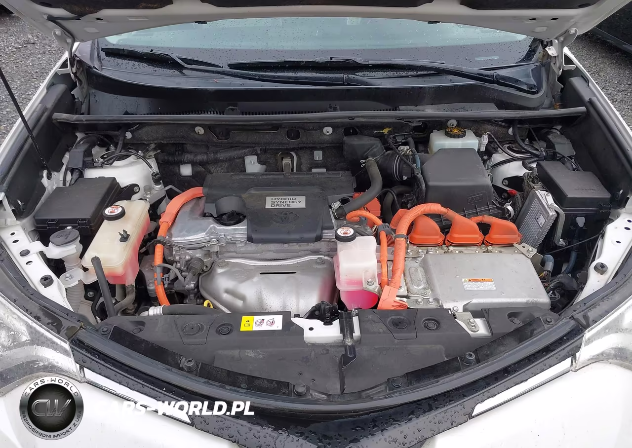 2016 Toyota Rav4 Hybrid Limited VIN:JTMDJREV6GD058558 - 10