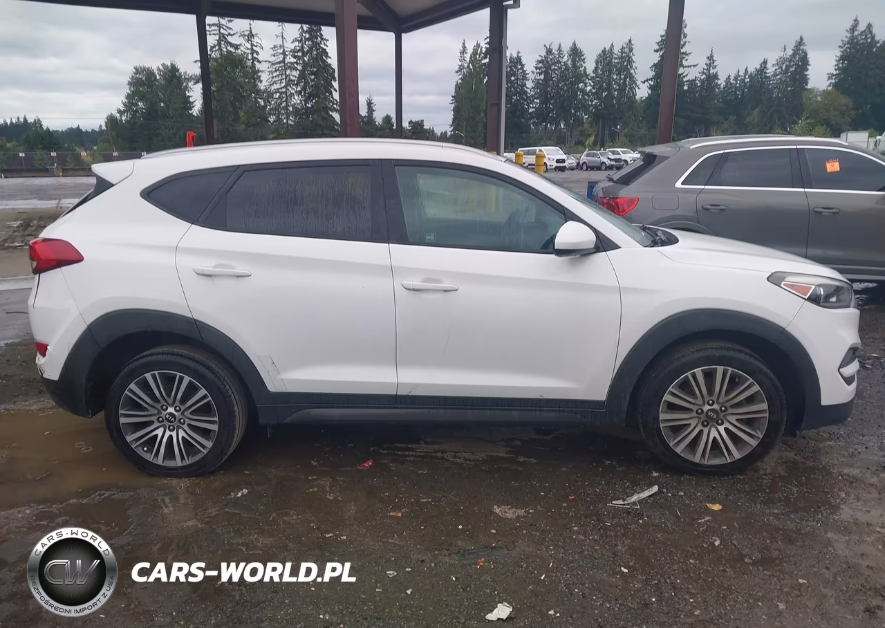2016 Hyundai Tucson Se VIN:KM8J33A45GU137951 - 12