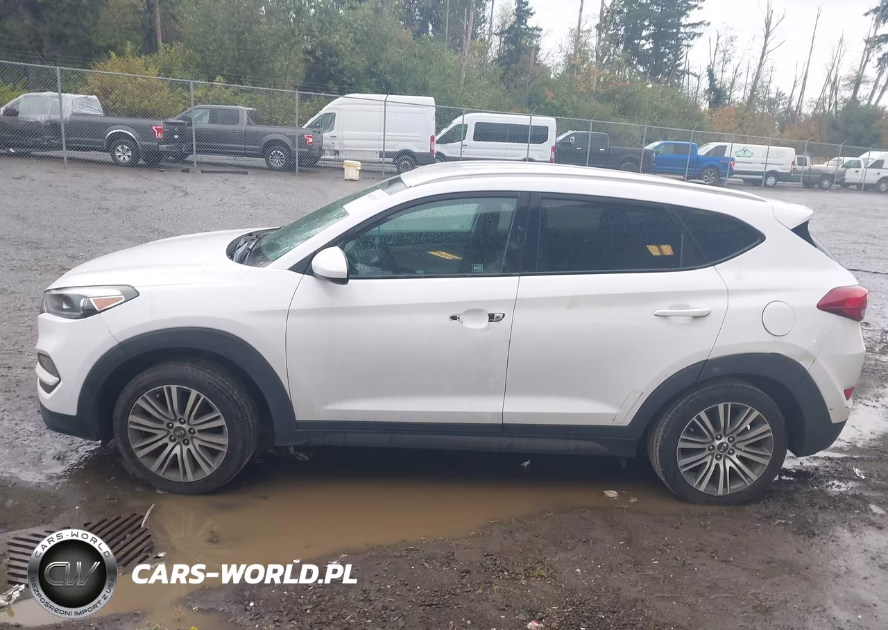 2016 Hyundai Tucson Se VIN:KM8J33A45GU137951 - 13