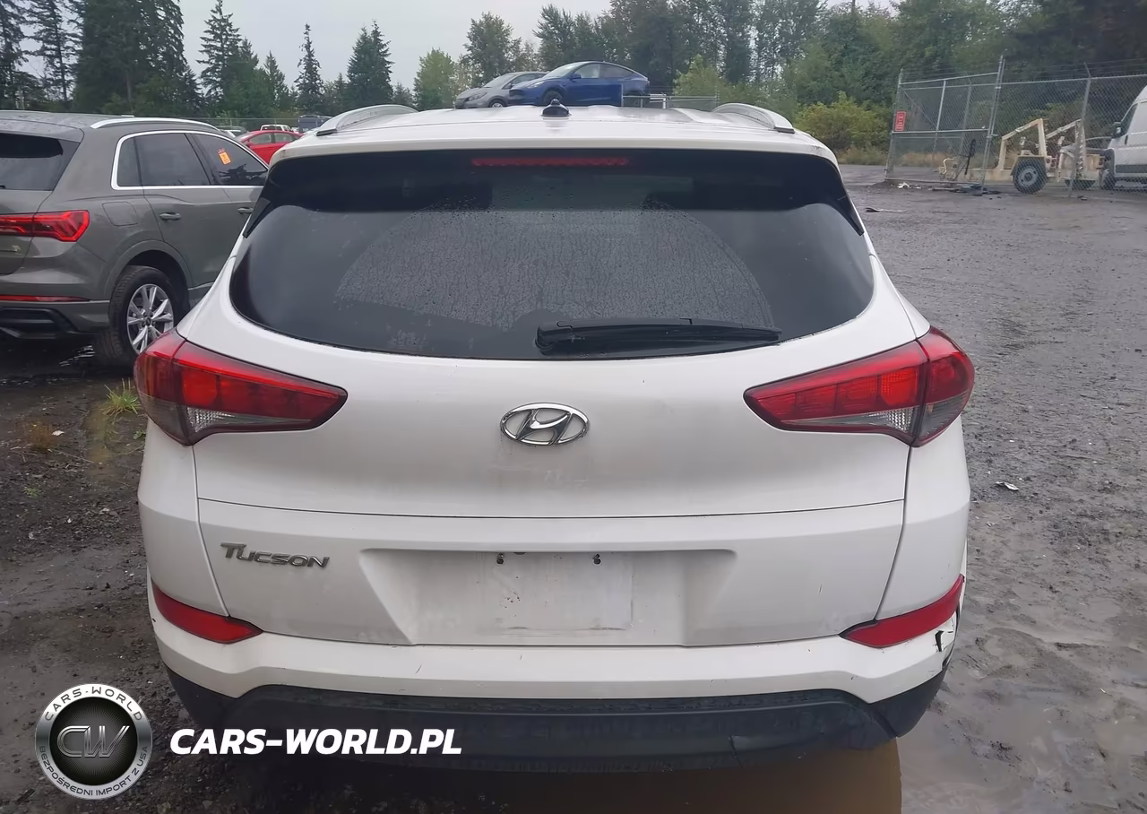 2016 Hyundai Tucson Se VIN:KM8J33A45GU137951 - 15