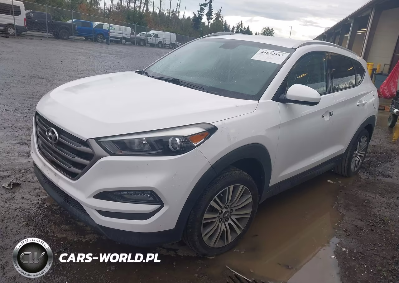 2016 Hyundai Tucson Se VIN:KM8J33A45GU137951 - 2