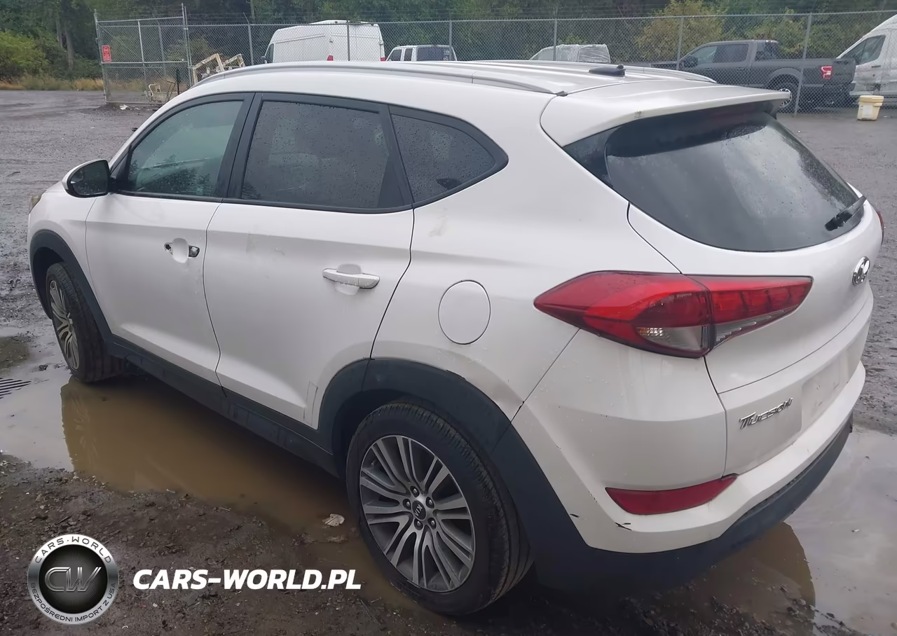2016 Hyundai Tucson Se VIN:KM8J33A45GU137951 - 3
