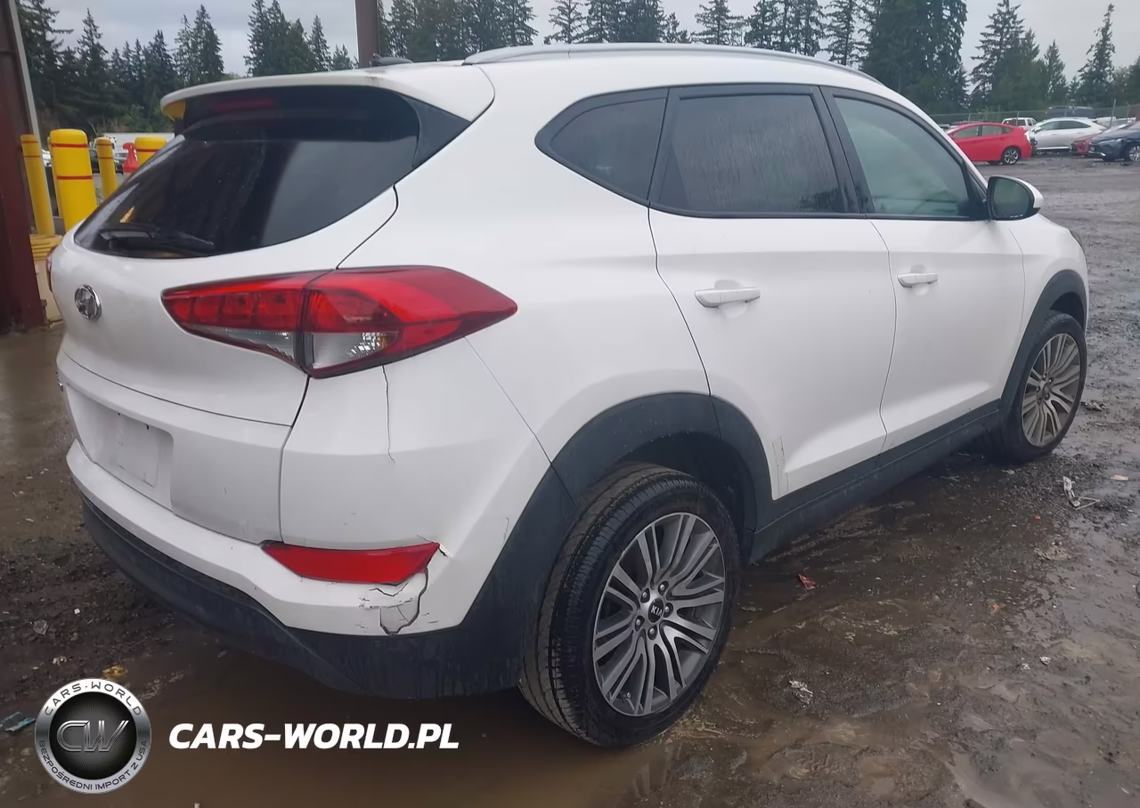 2016 Hyundai Tucson Se VIN:KM8J33A45GU137951 - 4