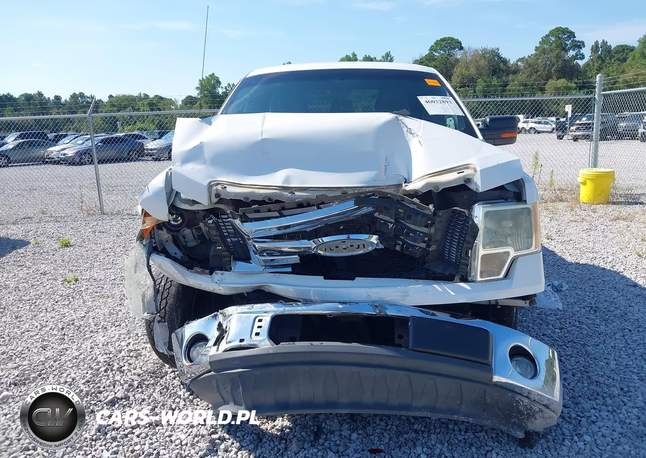 2011 Ford F-150 Stx-Xl-Xlt VIN:1FTEX1CM7BKE20464 - 12