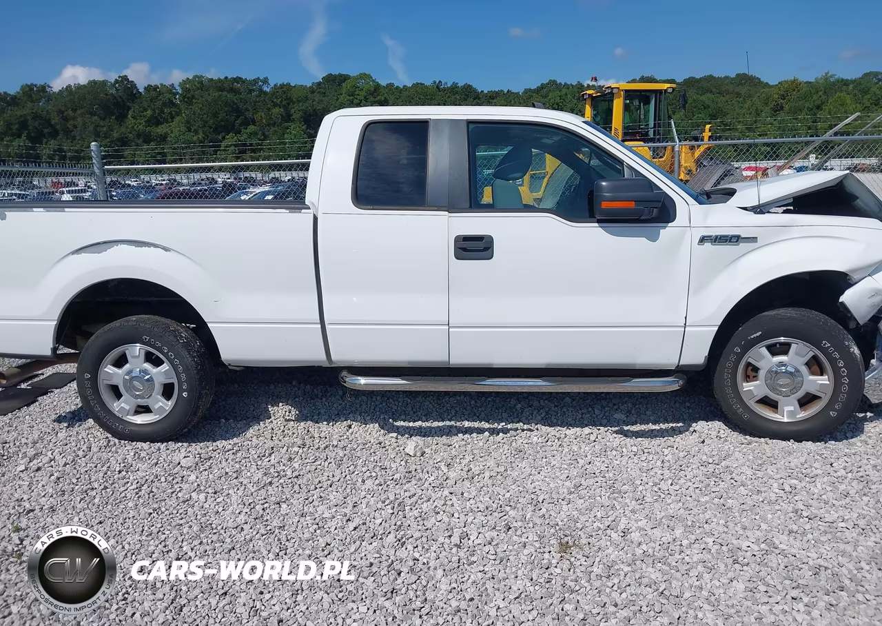 2011 Ford F-150 Stx-Xl-Xlt VIN:1FTEX1CM7BKE20464 - 13
