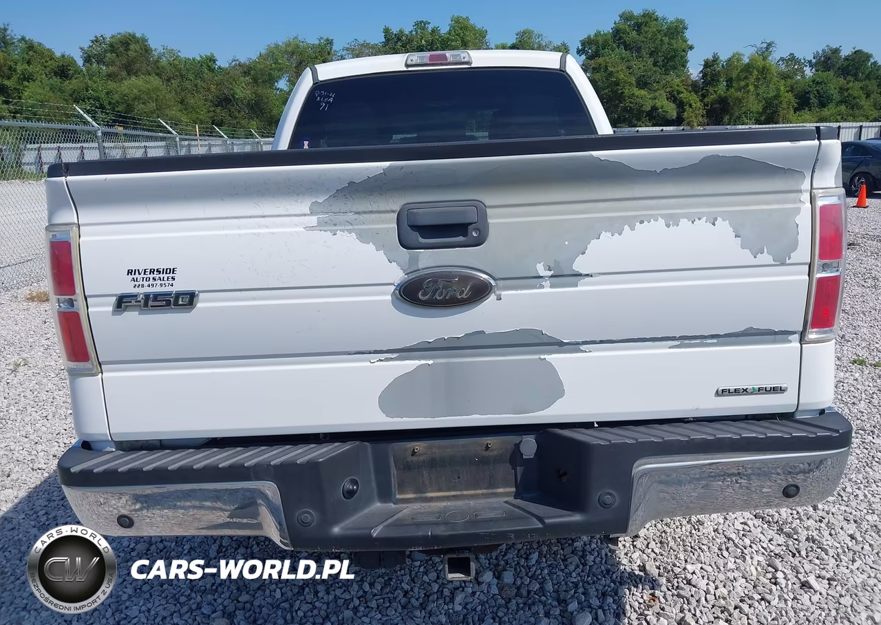 2011 Ford F-150 Stx-Xl-Xlt VIN:1FTEX1CM7BKE20464 - 16