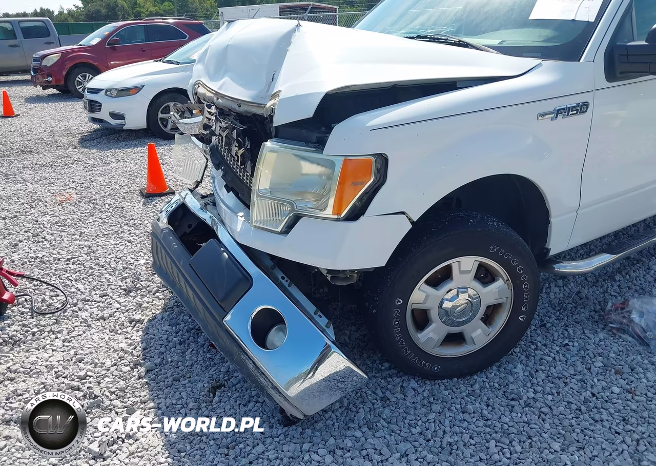 2011 Ford F-150 Stx-Xl-Xlt VIN:1FTEX1CM7BKE20464 - 6