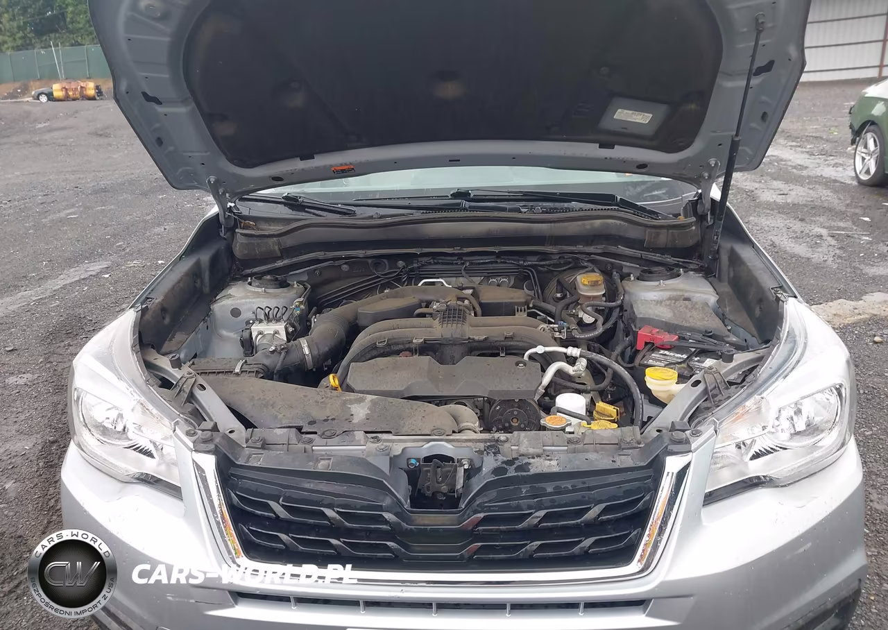 2018 Subaru Forester 2.5I VIN:JF2SJAAC9JH418274 - 10