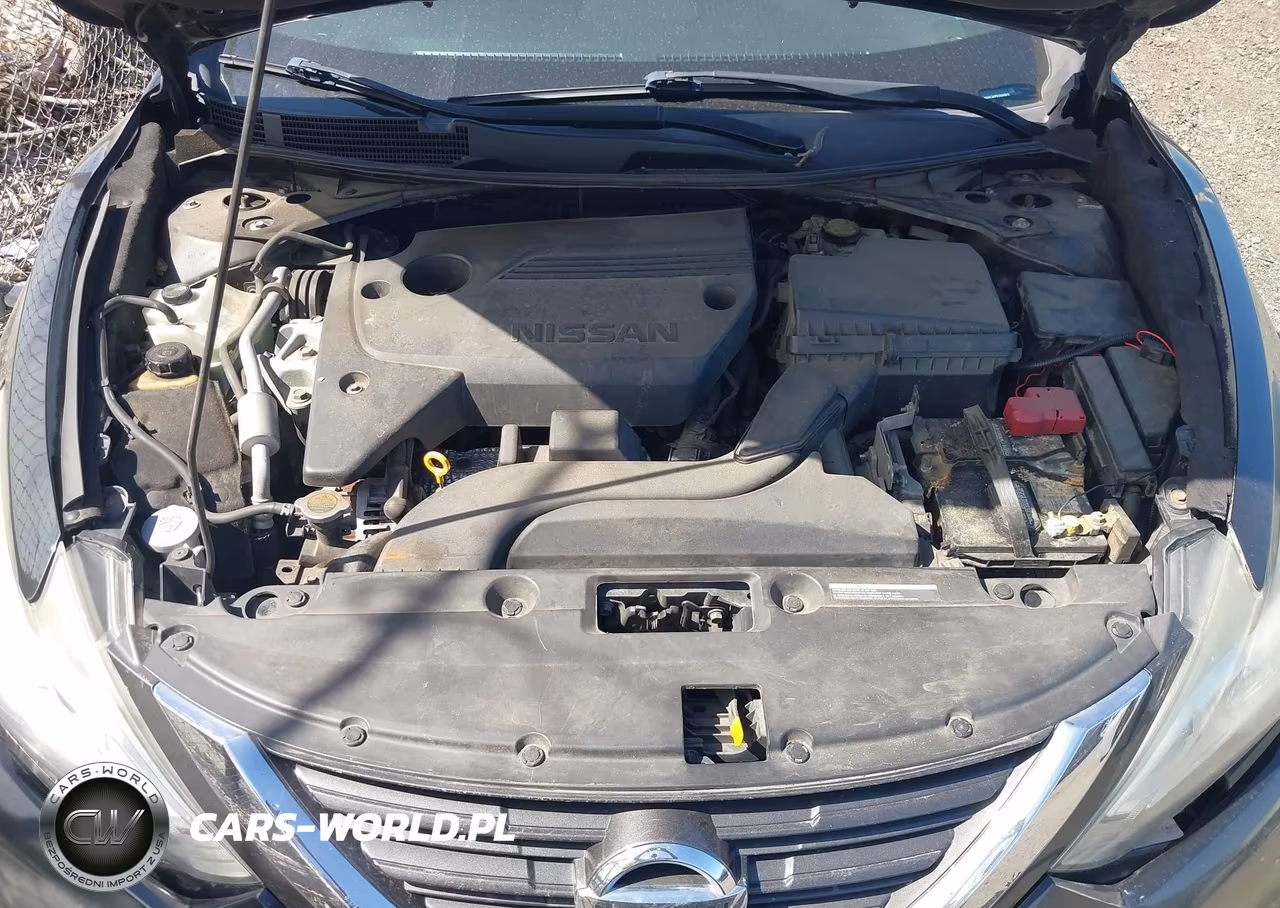 2016 Nissan Altima VIN:1N4AL3AP5GN349912 - 10