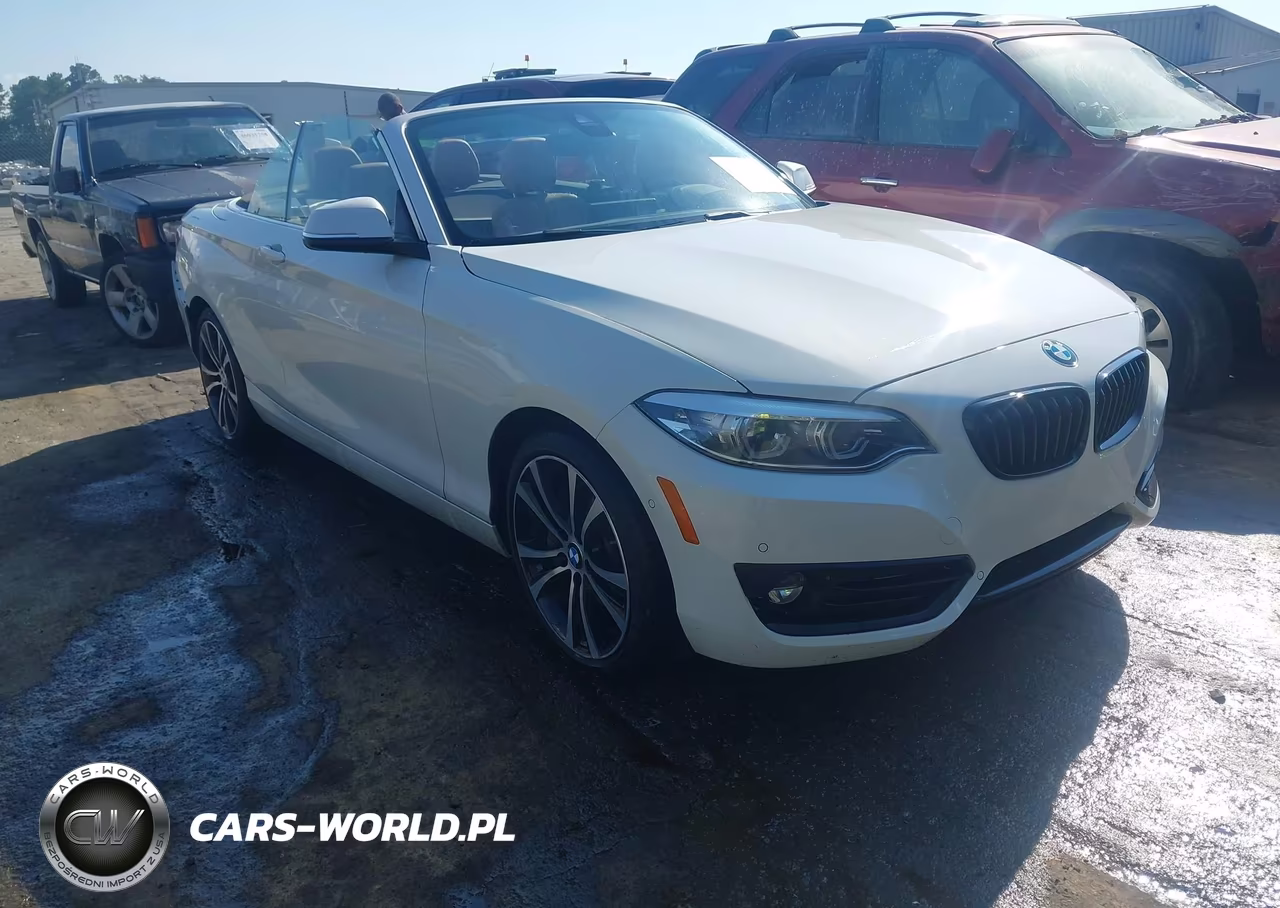 2021 BMW 230I VIN:WBA2M7C08M7J88701 - 1