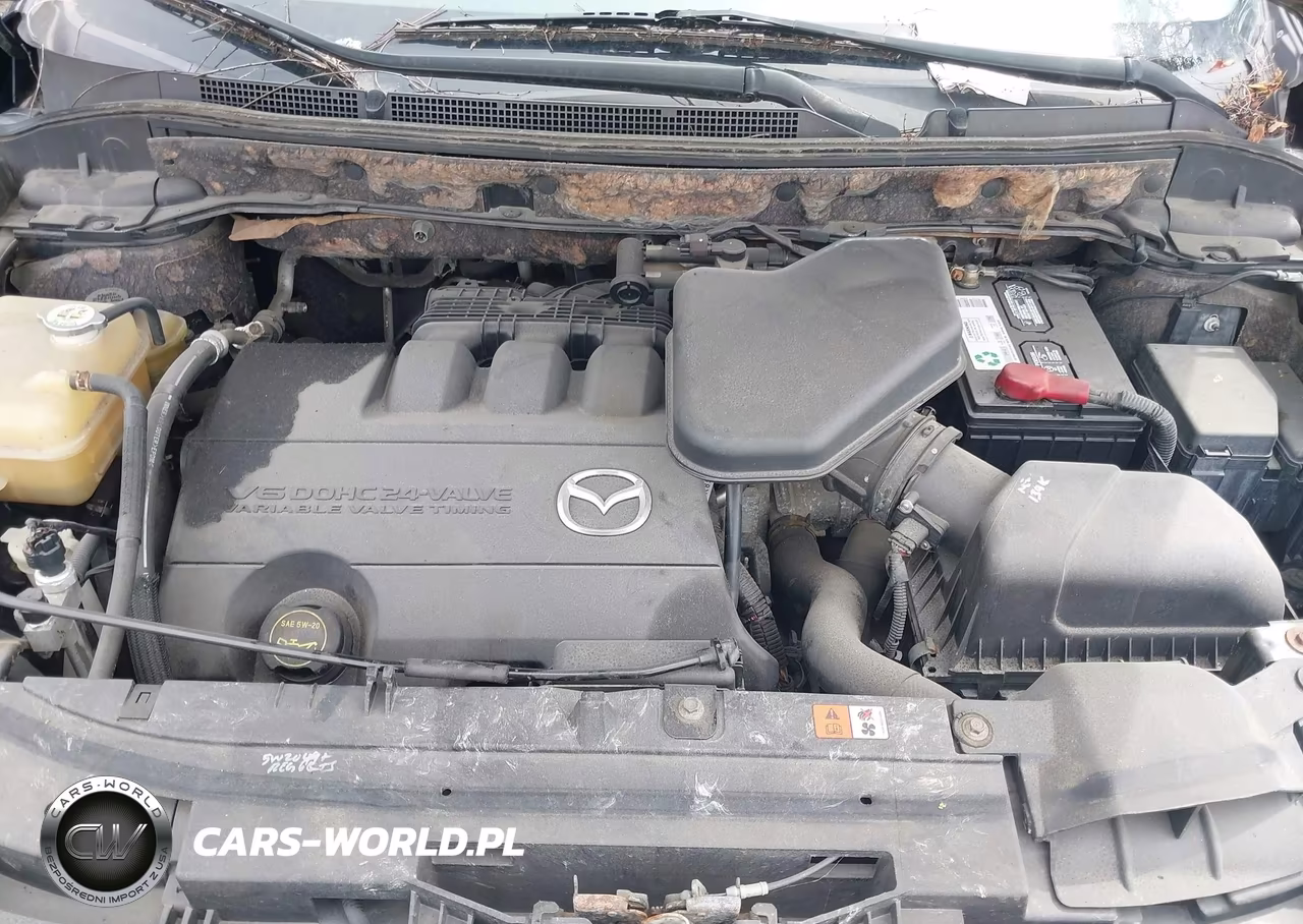 2012 Mazda Cx-9 Touring VIN:JM3TB3CV1C0346098 - 10