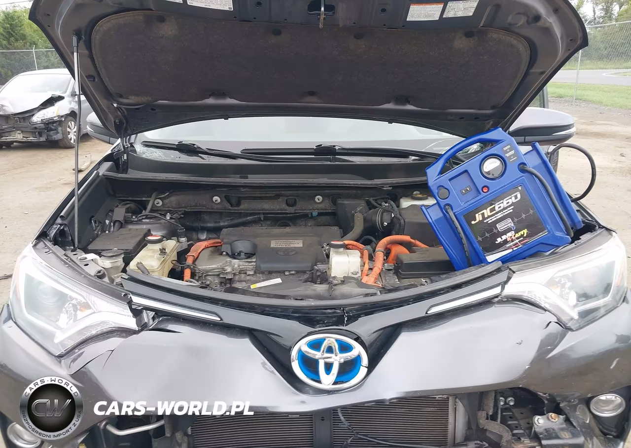 2016 Toyota Rav4 Hybrid Xle VIN:JTMRJREV7GD015384 - 10