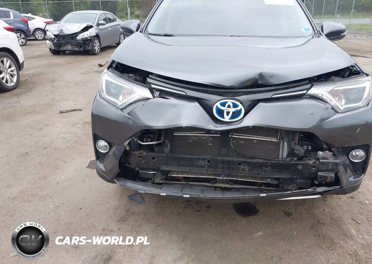 2016 Toyota Rav4 Hybrid Xle VIN:JTMRJREV7GD015384 - 6
