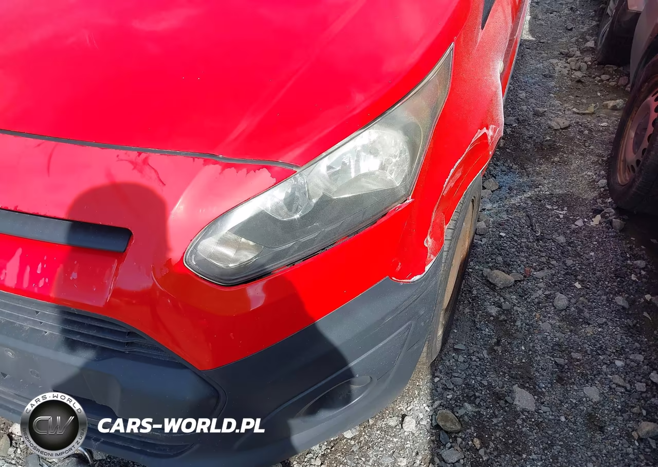2015 Ford Transit Connect Xl VIN:NM0LS7E77F1188506 - 12