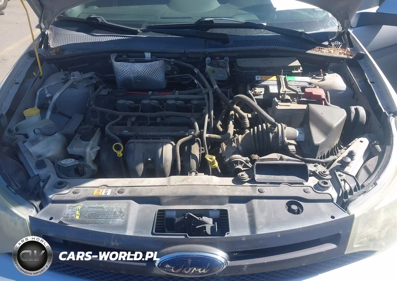 2010 Ford Focus Ses VIN:1FAHP3GN3AW229844 - 10