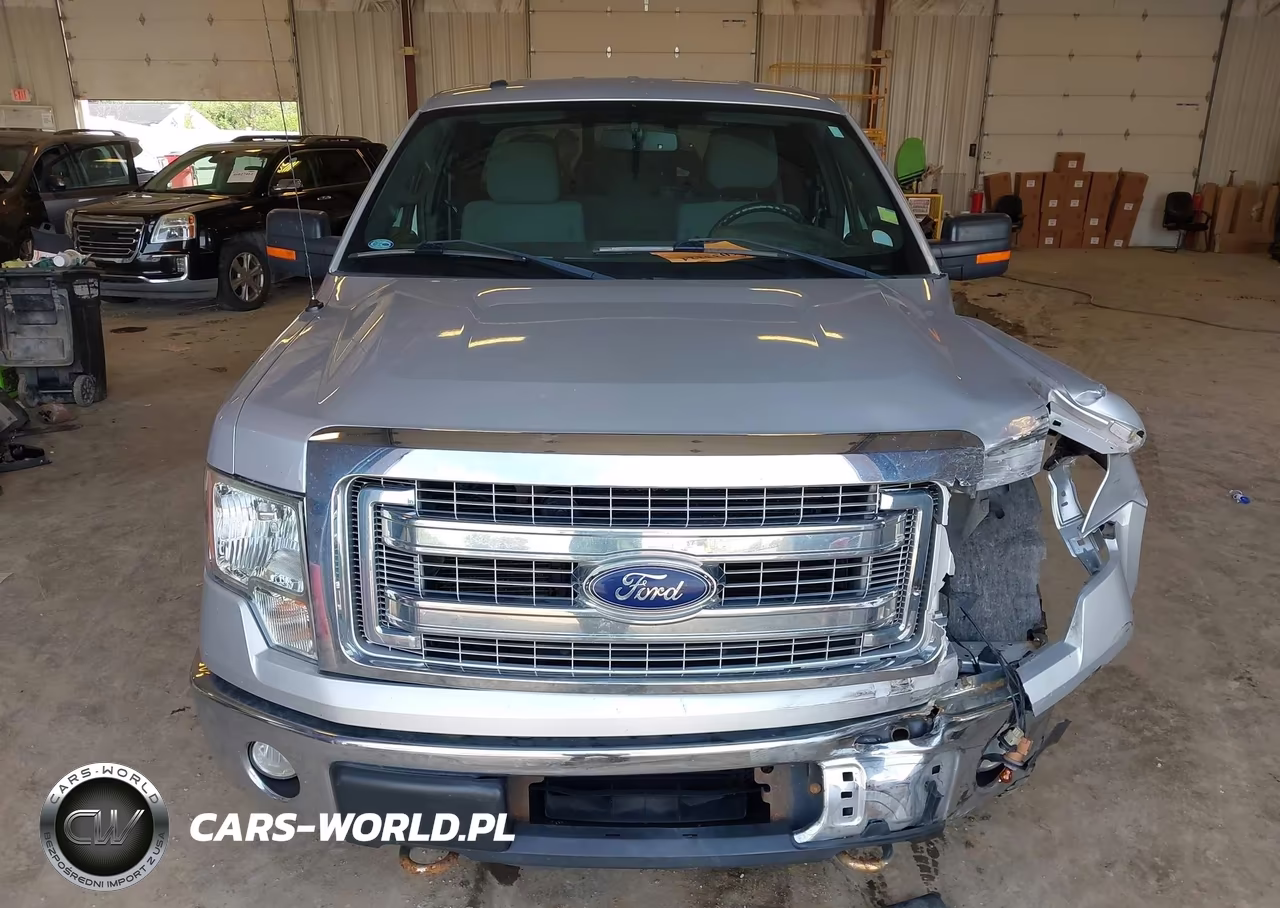 2013 Ford F-150 Xlt VIN:1FTFX1ET4DKG05115 - 12