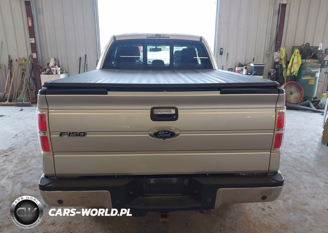 2013 Ford F-150 Xlt VIN:1FTFX1ET4DKG05115 - 15