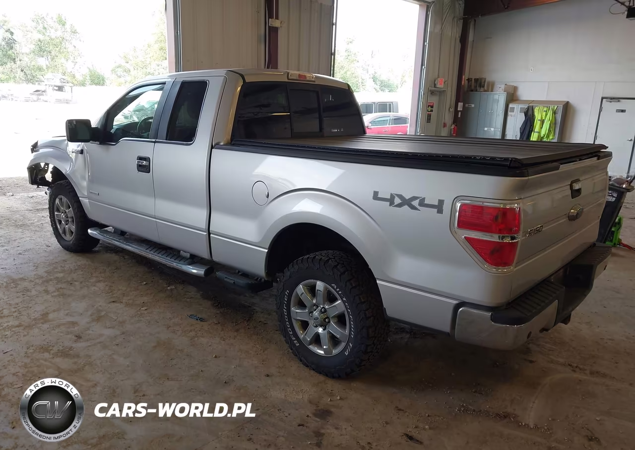 2013 Ford F-150 Xlt VIN:1FTFX1ET4DKG05115 - 3