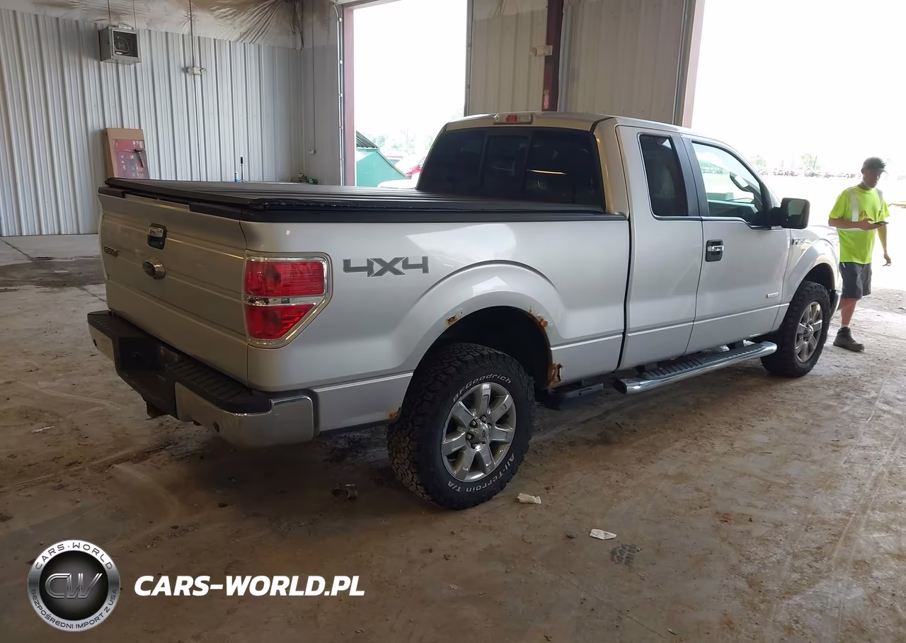 2013 Ford F-150 Xlt VIN:1FTFX1ET4DKG05115 - 4
