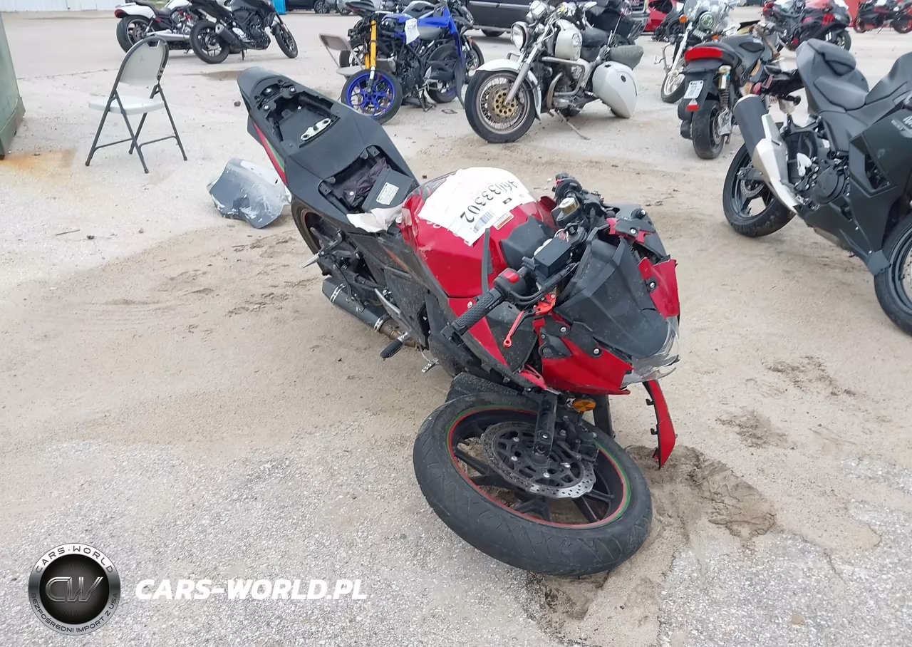 2019 Suzuki Gsx250R M-Zm-Za – zdjęcie 1 z 13