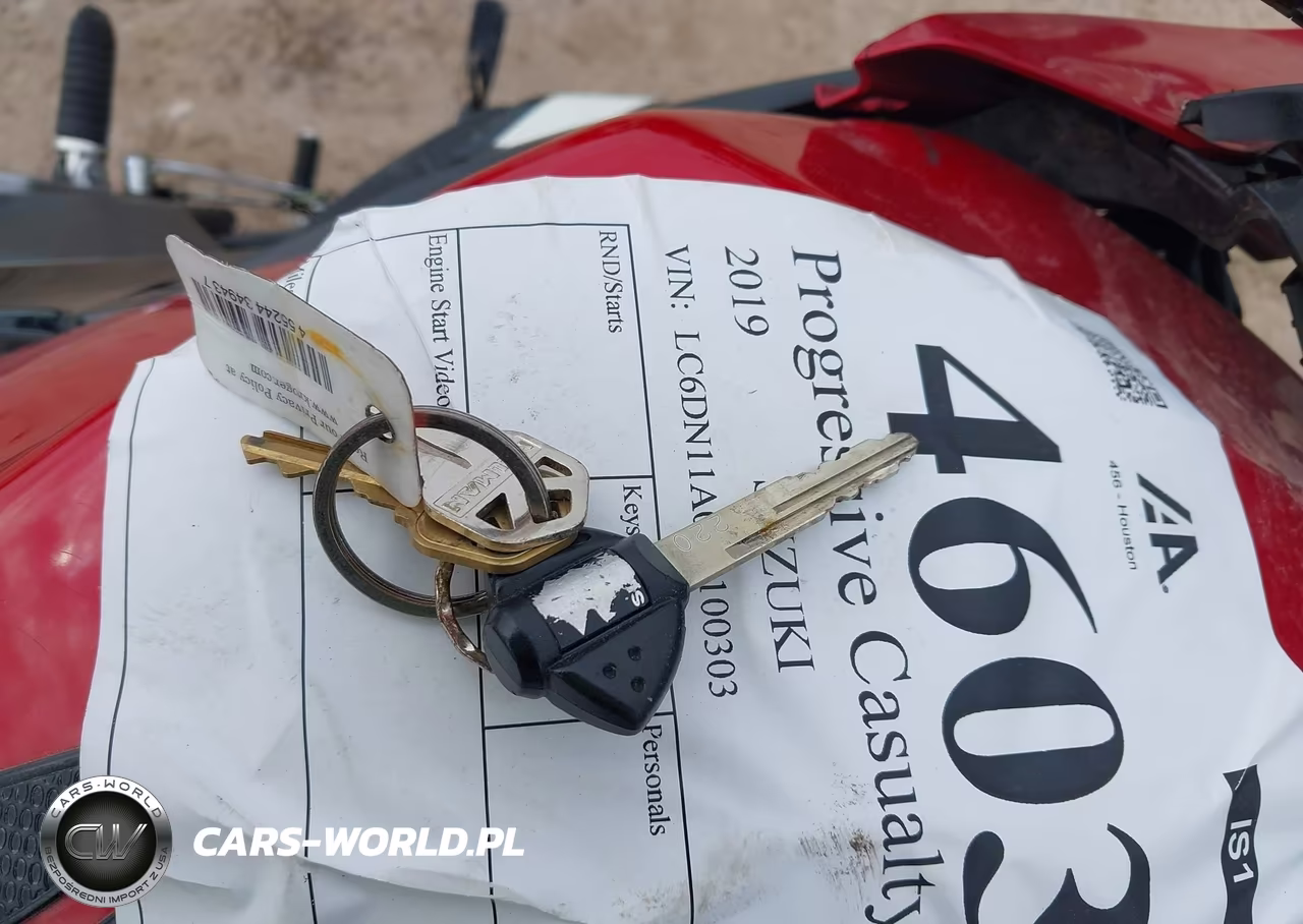 2019 Suzuki Gsx250R M-Zm-Za VIN:LC6DN11A0K1100303 - 11