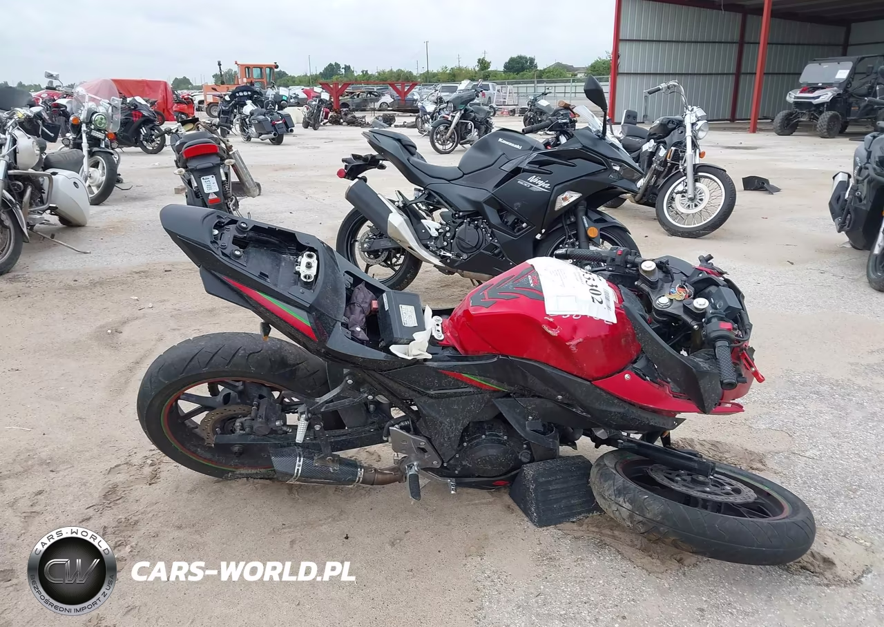 2019 Suzuki Gsx250R M-Zm-Za VIN:LC6DN11A0K1100303 - 12