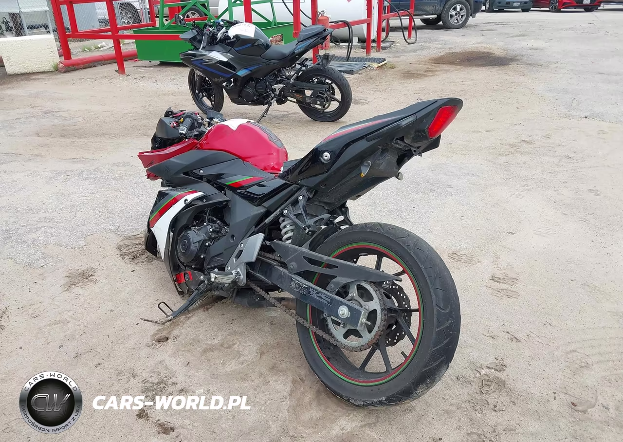2019 Suzuki Gsx250R M-Zm-Za VIN:LC6DN11A0K1100303 - 3