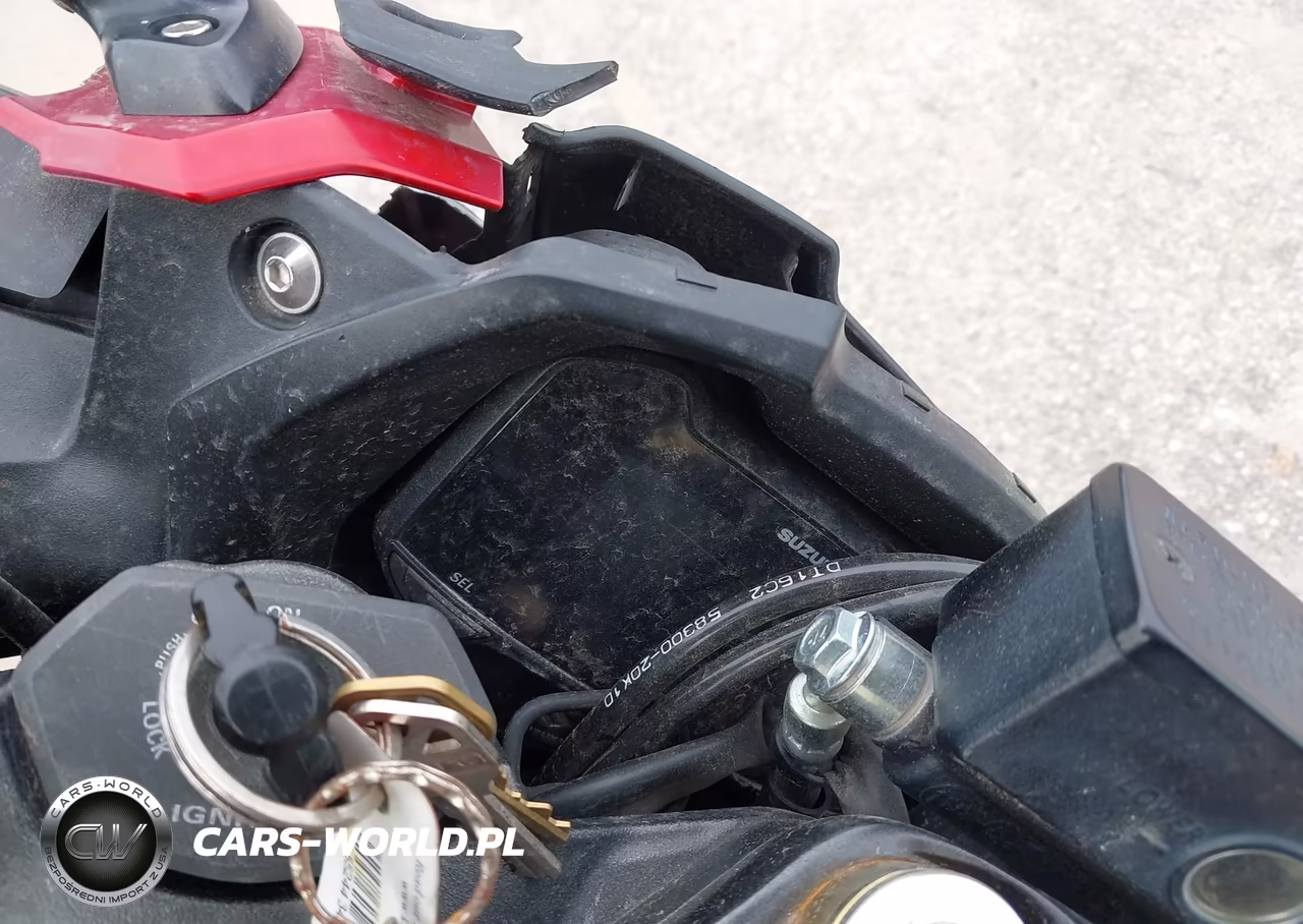 2019 Suzuki Gsx250R M-Zm-Za VIN:LC6DN11A0K1100303 - 7